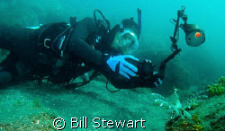 My friend Junji photographing a lionfish during a dive at... by Bill Stewart 